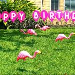 Birthday Flamingos