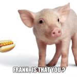 Maybe it's a Kosher Hot Dog | FRANK , IS THAT YOU ? | image tagged in pig,bad pun | made w/ Imgflip meme maker