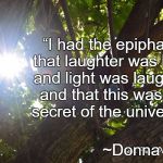 Sunlight | “I had the epiphany that laughter was light, and light was laughter, and that this was the secret of the universe.”; ~Donna Tartt | image tagged in donna tartt,trees,laughter,light,universe,secret | made w/ Imgflip meme maker