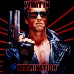 What in ____ation WEEK | WHAT IN; TERMINATION | image tagged in wot n termination | made w/ Imgflip meme maker