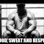 gym | BLOOD, SWEAT AND RESPECT | image tagged in gym | made w/ Imgflip meme maker