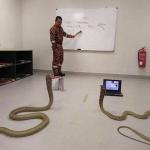 Teaching python programming meme