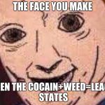 Shaggy thuis isnt weed | THE FACE YOU MAKE; WHEN THE COCAIN+WEED=LEAGAL STATES | image tagged in shaggy thuis isnt weed | made w/ Imgflip meme maker