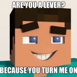 Steve (Minecraft) | ARE YOU A LEVER? BECAUSE YOU TURN ME ON | image tagged in steve minecraft | made w/ Imgflip meme maker