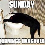 Sick Puppy | SUNDAY; MORNINGS HANGOVERS | image tagged in sick puppy | made w/ Imgflip meme maker