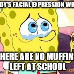 Sad face tea | ANDY'S FACIAL EXPRESSION WHEN; THERE ARE NO MUFFINS LEFT AT SCHOOL | image tagged in sad face tea | made w/ Imgflip meme maker