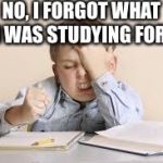 Facepalm studying kid | NO, I FORGOT WHAT I WAS STUDYING FOR! | image tagged in facepalm studying kid | made w/ Imgflip meme maker