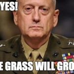 Mattis | OH YES! THE GRASS WILL GROW! | image tagged in mattis | made w/ Imgflip meme maker