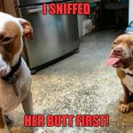 Haters gonna hate | I SNIFFED; HER BUTT FIRST! | image tagged in haters gonna hate | made w/ Imgflip meme maker