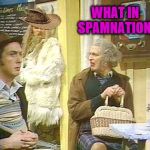 SPAM!  | WHAT IN SPAMNATION! | image tagged in spam,what in tarnation week,monty python week | made w/ Imgflip meme maker