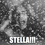 Stella Blizzard | STELLA!!! | image tagged in stella,blizzard,marlon brando,a streetcar named desire,streetcar,desire | made w/ Imgflip meme maker