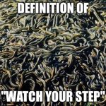 Snakes | DEFINITION OF; "WATCH YOUR STEP" | image tagged in snakes | made w/ Imgflip meme maker