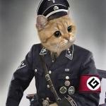 grammar nazi cat