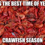 Crawfish | IT'S THE BEST TIME OF YEAR, CRAWFISH SEASON | image tagged in crawfish | made w/ Imgflip meme maker