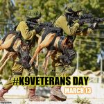 In appreciation to all K9Veterans and Service Dogs. | #K9VETERANS DAY; MARCH 13 | image tagged in holstered attack dogs | made w/ Imgflip meme maker