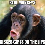 Real monkeys kisses girls on the lips | REAL MONKEYS; KISSES GIRLS ON THE LIPS | image tagged in chimpanzee | made w/ Imgflip meme maker