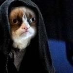Emperor Grumpy Cat Palpatine