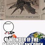 spiders | I WONDER IF THE MOON HAS ANY OPEN CRATERS TO SLEEP IN | image tagged in spiders | made w/ Imgflip meme maker