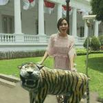 Raisa macan lucu