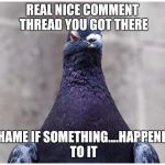 Pigeons. Pigeons everywhere | REAL NICE COMMENT THREAD YOU GOT THERE; SHAME IF SOMETHING....HAPPENED TO IT | image tagged in hatred pigeon | made w/ Imgflip meme maker