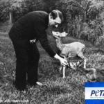 Hitler Peta