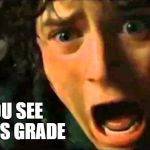 Frodo - noo edited to size | WHEN YOU SEE YOUR FINALS GRADE | image tagged in frodo - noo edited to size,education,college,grades | made w/ Imgflip meme maker