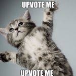 Upvote me | UPVOTE ME; UPVOTE ME | image tagged in paws up kitten,memes,kittens | made w/ Imgflip meme maker