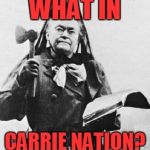 That's one ugly dude! | WHAT IN; CARRIE NATION? | image tagged in carrie nation,what in tarnation | made w/ Imgflip meme maker