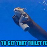 Otters are known for their plumbing abilities... :) | NOW TO GET THAT TOILET FIXED... | image tagged in plumbing otter,memes,animals,toilet,plumbing | made w/ Imgflip meme maker