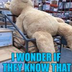 It must be driving him mad | I WONDER IF THEY KNOW THAT BULB IS OUT... | image tagged in giant teddy bear,memes,lightbulbs | made w/ Imgflip meme maker