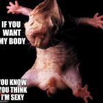 if you want my body | IF YOU WANT MY BODY; YOU KNOW YOU THINK I'M SEXY | image tagged in if you want my body | made w/ Imgflip meme maker