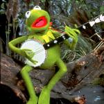Kermit guitar 