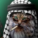 Sarcastic Terrorist Cat meme