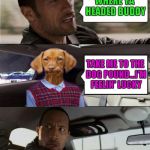 Every dog has his day!!! | WHERE YA HEADED BUDDY; TAKE ME TO THE DOG POUND...I'M FEELIN' LUCKY | image tagged in rock driving bad luck raydog,funny,feelin' lucky,memes,the rock driving | made w/ Imgflip meme maker