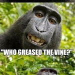 bad pun monkey | WHAT WERE TARZAN'S LAST WORDS? "WHO GREASED THE VINE?" | image tagged in bad pun monkey | made w/ Imgflip meme maker