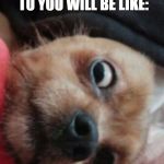 sjonnie the shocked Doggy | THE MOMENT YOU FARTED IN PUBLIC AND THE ONE SITTING NEXT TO YOU WILL BE LIKE: | image tagged in sjonnie the shocked doggy | made w/ Imgflip meme maker