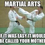 Karate side kick | MARTIAL ARTS; IF IT WAS EASY IT WOULD BE CALLED YOUR MOTHER | image tagged in karate side kick | made w/ Imgflip meme maker