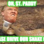 OH, ST. PADDY; PLEASE DRIVE OUR SNAKE OUT! | image tagged in donald trump,snake,st patrick's day | made w/ Imgflip meme maker