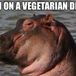 Hippo | I'M ON A VEGETARIAN DIET | image tagged in hippo | made w/ Imgflip meme maker