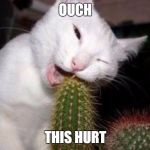 OUCH | OUCH; THIS HURT | image tagged in ouch | made w/ Imgflip meme maker