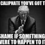 Donald Trump Thug Life | NICE CALIPHATE YOU'VE GOT THERE; SHAME IF SOMETHING WERE TO HAPPEN TO IT | image tagged in donald trump thug life | made w/ Imgflip meme maker