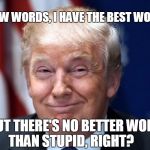actual trump quotes | I KNOW WORDS, I HAVE THE BEST WORDS. BUT THERE'S NO BETTER WORD THAN STUPID, RIGHT? | image tagged in donald trump,trump,stupid,quote,words | made w/ Imgflip meme maker