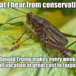 Conservative Crickets | What I hear from conservatives; as Donald Trump makes every weekend a golf vacation at great cost to taxpayers | image tagged in crickets trump golf vacation mar-a-lago | made w/ Imgflip meme maker