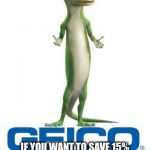 Geico lizard | IF YOU'RE A MEME ADDICT, YOU TALK IN MEMES, IT'S WHAT YOU DO; IF YOU WANT TO SAVE 15% ON CAR INSURANCE, YOU SWITCH TO GEICO, IT'S WHAT YOU DO | image tagged in geico lizard | made w/ Imgflip meme maker