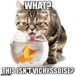 Aaaaand I just crashed dictionary.com. | WHAT? THIS ISN'T VICHYSSOISE? | image tagged in cat drinking from fishbowl | made w/ Imgflip meme maker