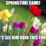Spring  | SPRINGTIME CAME! LET'S SEE HIM RUIN THIS FOR US. | image tagged in spring | made w/ Imgflip meme maker