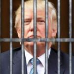 trump lock him up