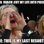Good ol papa roach | PAPA  ROACH :CUT MY LIFE INTO PIECES!! ME: THIS IS MY LAST RESORT!!! | image tagged in meryl streep,funny memes,meme | made w/ Imgflip meme maker