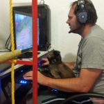 Monkey gamer | BETTER A MONKEY ON YOUR LAP; THAN A MONKEY ON YOUR BACK | image tagged in monkey gamer | made w/ Imgflip meme maker