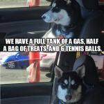 Husky Co-Pilot | IT'S 8 MILES TO THE DOG PARK. WE HAVE A FULL TANK OF A GAS, HALF A BAG OF TREATS, AND 6 TENNIS BALLS. HIT IT. | image tagged in husky co-pilot | made w/ Imgflip meme maker